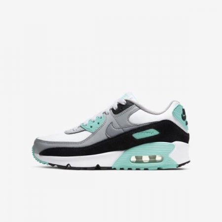 Nike Shoes Air Max 90 LTR | White / Light Smoke Grey / Hyper Turquoise / Particle Grey