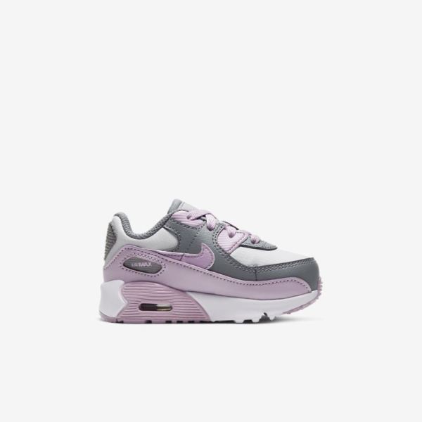 Nike Shoes Air Max 90 | Particle Grey / Photon Dust / White / Iced Lilac
